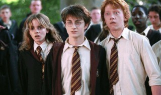 哈利波特各个学院代表人物 哈利波特出自哪个学院