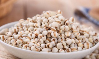 炒薏米的禁忌症（炒薏米的禁忌症有哪些）
