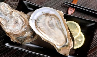 海蛎子功效和禁忌 海蛎子功效和禁忌图片