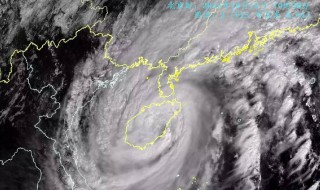 七级风什么概念 七级风属于什么风