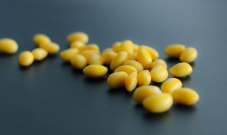 煮熟黄豆做肥料注意的事项（煮熟的黄豆做肥料,大约多长时间才有效?）