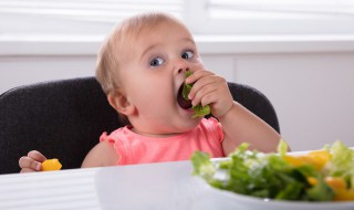 宝宝辅食佛手瓜怎么做好吃（佛手瓜可以做辅食吗）