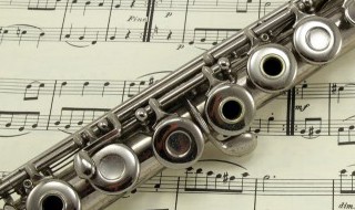 喜欢未免有结果歌词（喜欢未免有结果歌词是什么歌）