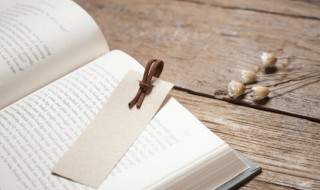 袍的组词 袍的组词和部首