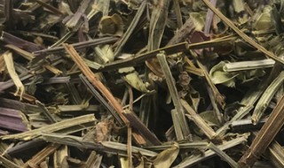 半枝莲的功效与作用吃法 半枝莲的功效与作用吃法图片