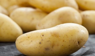 土豆保存不发芽方法存（土豆保存不生芽的方法）