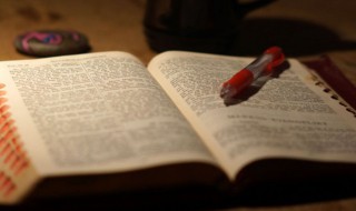 鼠年女宝宝古风名字 鼠年女宝宝名字参考