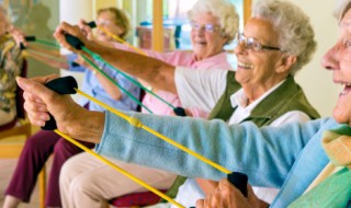 朝阳群众是什么神奇的存在 朝阳群众是什么神奇的存在到底是怎么回事