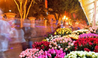 鲜花怎么做成干花保存 鲜花怎样做成干花进行保存