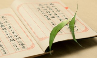 游隼怎么读（最快的鸟游隼怎么读）