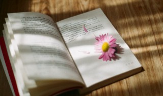 凛冽怎么读（朔风凛冽怎么读）