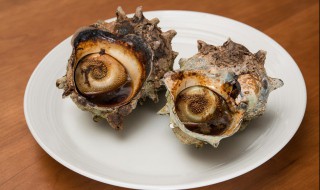 煮好的海螺可以隔夜吃吗（煮好的海螺可以隔夜吃吗有毒吗）