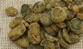 延胡索的用量与禁忌（延胡索的用量与禁忌是什么）