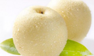皇冠梨的功效与作用及禁忌 皇冠梨的功效与作用及禁忌症