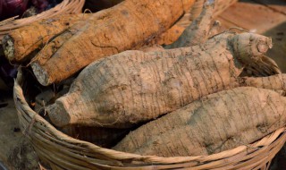 中药天麻茎叶的功效与作用（中药天麻茎叶的功效与作用及禁忌）