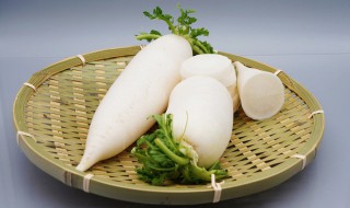 白萝卜怎么保存不空心（怎么保存青萝卜不空心）