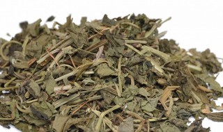 中药天仙藤的功效与作用 中药天仙藤的功效与作用图片