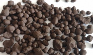 中药无名异的功效与作用 中药无名异的功效与作用是什么