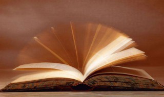 心怀远大抱负的网名 有远大抱负的寓意的网名