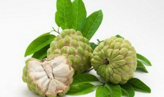 吃释迦果禁忌 吃释迦果禁忌什么食品