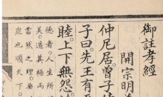 注玄尚白是什么意思（成语注玄尚白是什么意思）