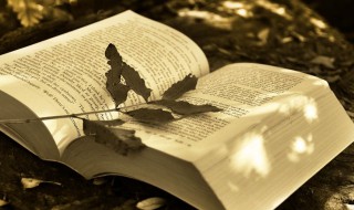 精致女人个性签名简短（精致女人个性签名简短独特）