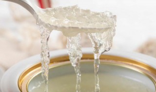 冰糖燕窝的功效与作用禁忌 冰糖燕窝的功效与作用禁忌是什么