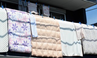 羽绒被怎么洗最好 羽绒被如何干洗