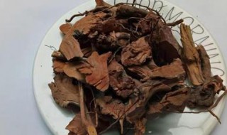 中药山棯根的功效与作用 山橿根的功效与作用