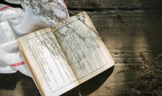 挦章撦句的意思（閒章的意思）