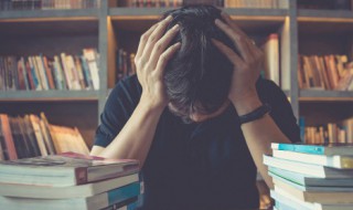 文籍先生的意思