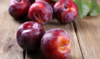 稠李子的功效(稠李子花的功效)