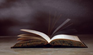 辑志协力的意思（辑志协力是什么生肖）