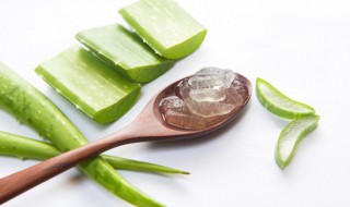 新鲜芦荟可以直接擦伤口吗（新鲜芦荟可以直接擦伤口吗会留疤吗）