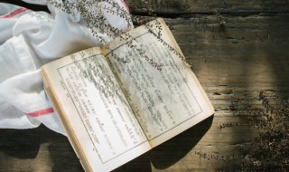 大包大揽的意思 大包大揽是成语吗