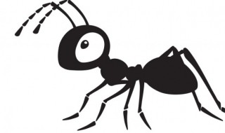 蚂蚁的英语怎么读 蚂蚁的英语怎么读 单词