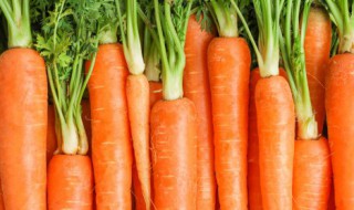 胡萝卜的禁忌 玉米加胡萝卜的禁忌