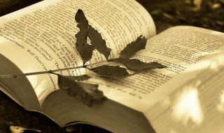 女生网名简单干净温柔两个字 女生网名简单干净温柔两个字带符号