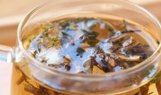 蒲公英可以和什么一起泡水喝（蒲公英可以和什么一起泡水喝消炎）