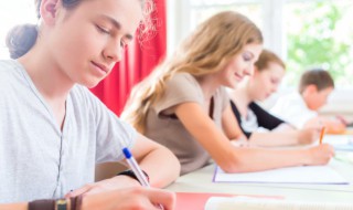 搂狗英文怎么写（搂狗英文怎么写logo）