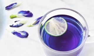 蝶豆花泡茶的副作用 蝶豆花泡茶的副作用与禁忌