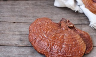 树舌灵芝的功效与作用及禁忌 树舌灵芝的功效和作用