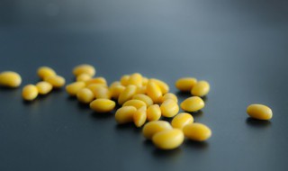 自己在家怎么做黄豆芽（自己在家怎么做黄豆芽好吃）