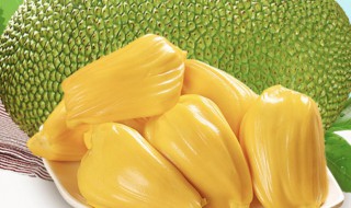 菠萝蜜能放多久啊（菠萝蜜能放多长时间?）