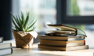 可的组词（可的组词是什么）