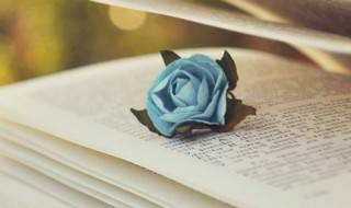 三六九等的意思 三六九等的意思和造句