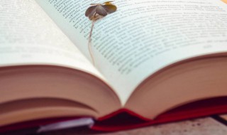 深文大义的意思 深明大义是什么意