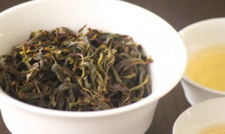 单枞茶适合什么季节（单枞茶适合什么季节饮用）