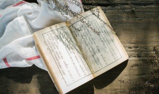 渊渟岳峙的意思 渊渟岳峙的读音