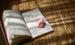 别赋原文翻译（别赋原文注音）